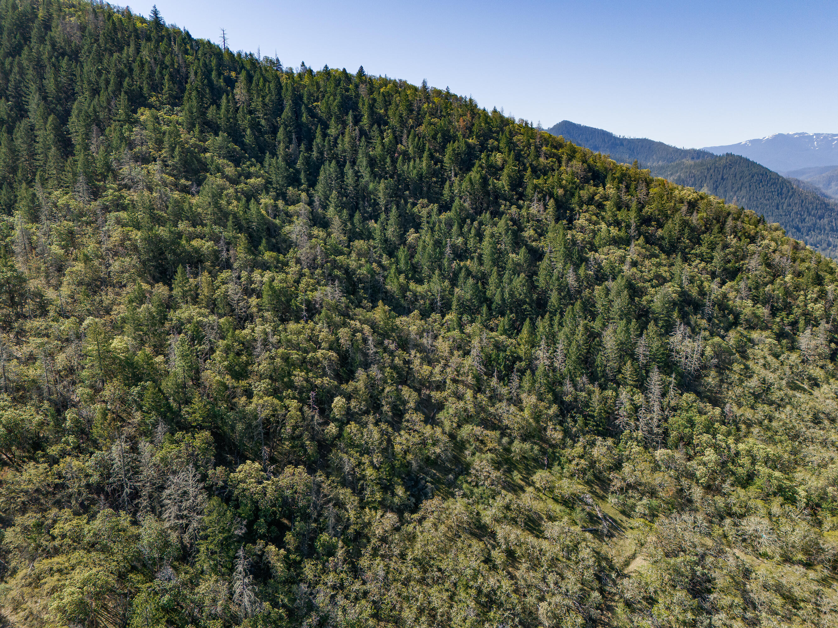 0 Humbug Creek Road Grants Pass, OR 97527 - Photo 9 of 38 DJI_20250417102835_0076_DHDR25