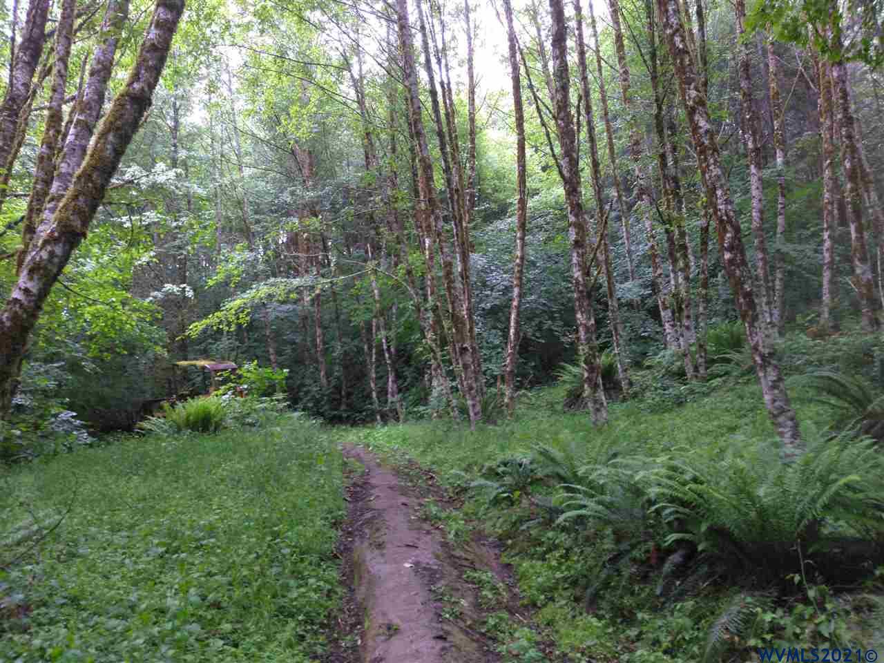 0 Dixie Mountain Road Scappoose, OR 97056 - Photo 3 of 9