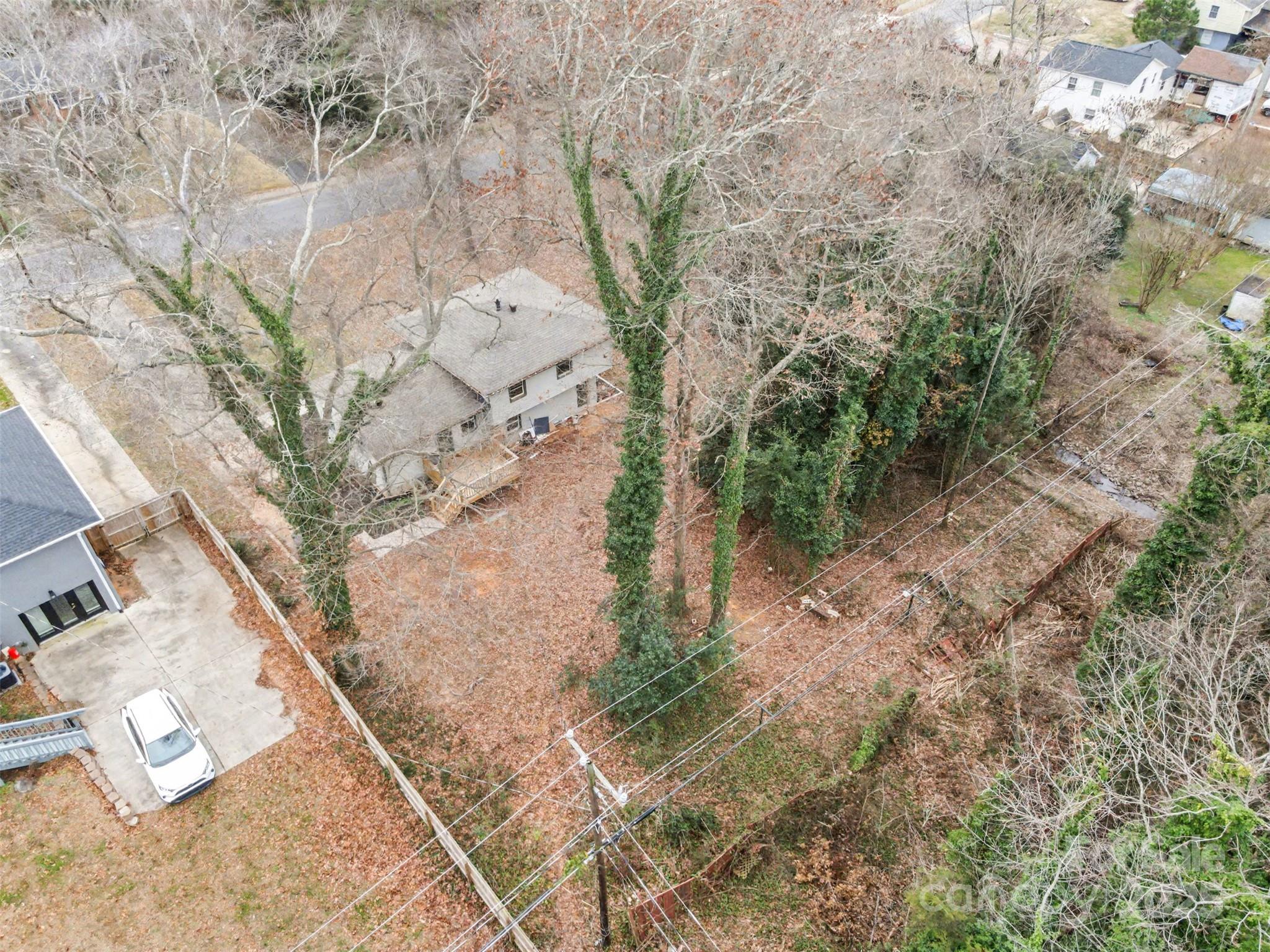 3417 Sudbury Road Charlotte, NC 28205 - Photo 18 of 18 a view of a tree in a yard