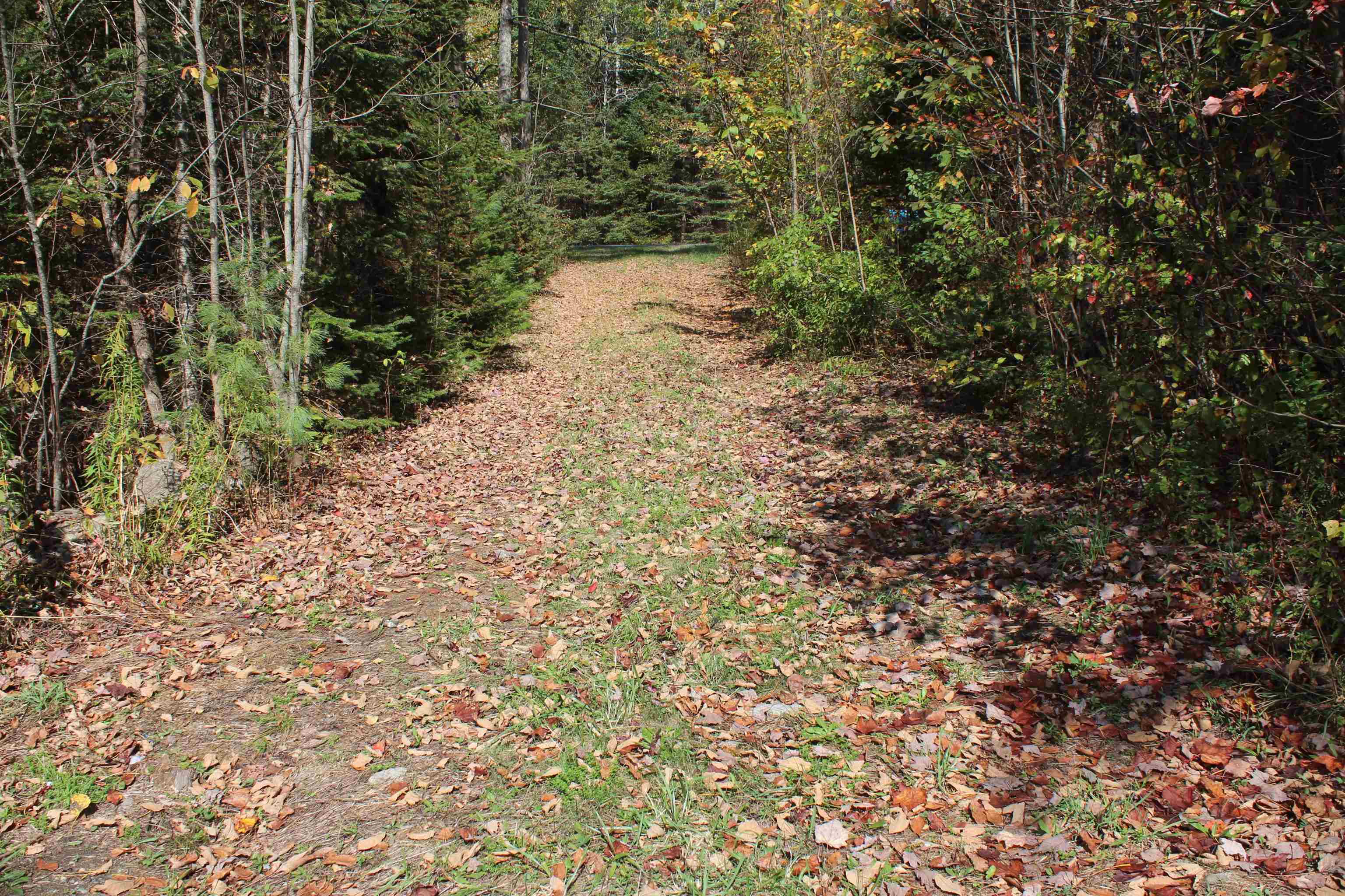 0 Miles Pond Road North Concord, VT 05858 - Photo 18 of 18