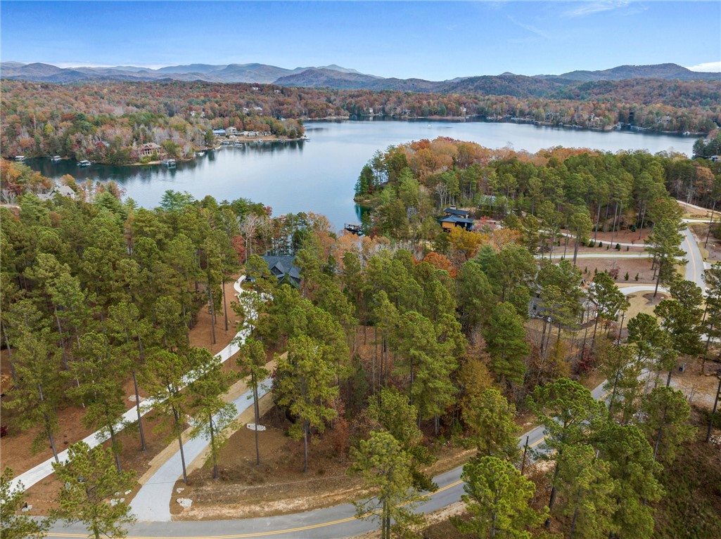 Lot 15 Old Chapman Bridge Road Salem, SC 29676 - Photo 19 of 24 Gallery Image 19