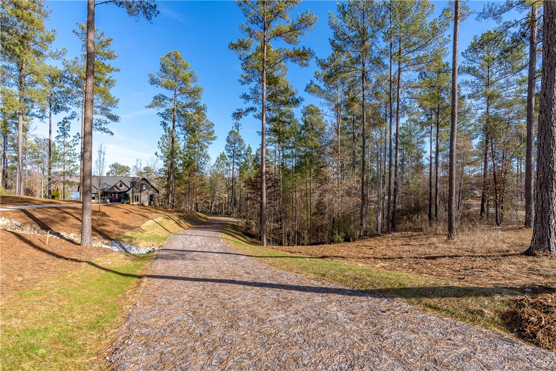 Lot 15 Old Chapman Bridge Road Salem, SC 29676 - Photo 20 of 24 Gallery Image 20