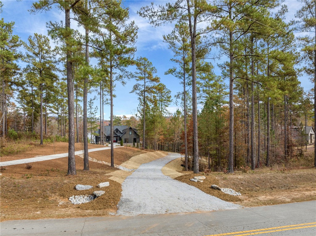 Lot 15 Old Chapman Bridge Road Salem, SC 29676 - Photo 2 of 24 Gallery Image 2