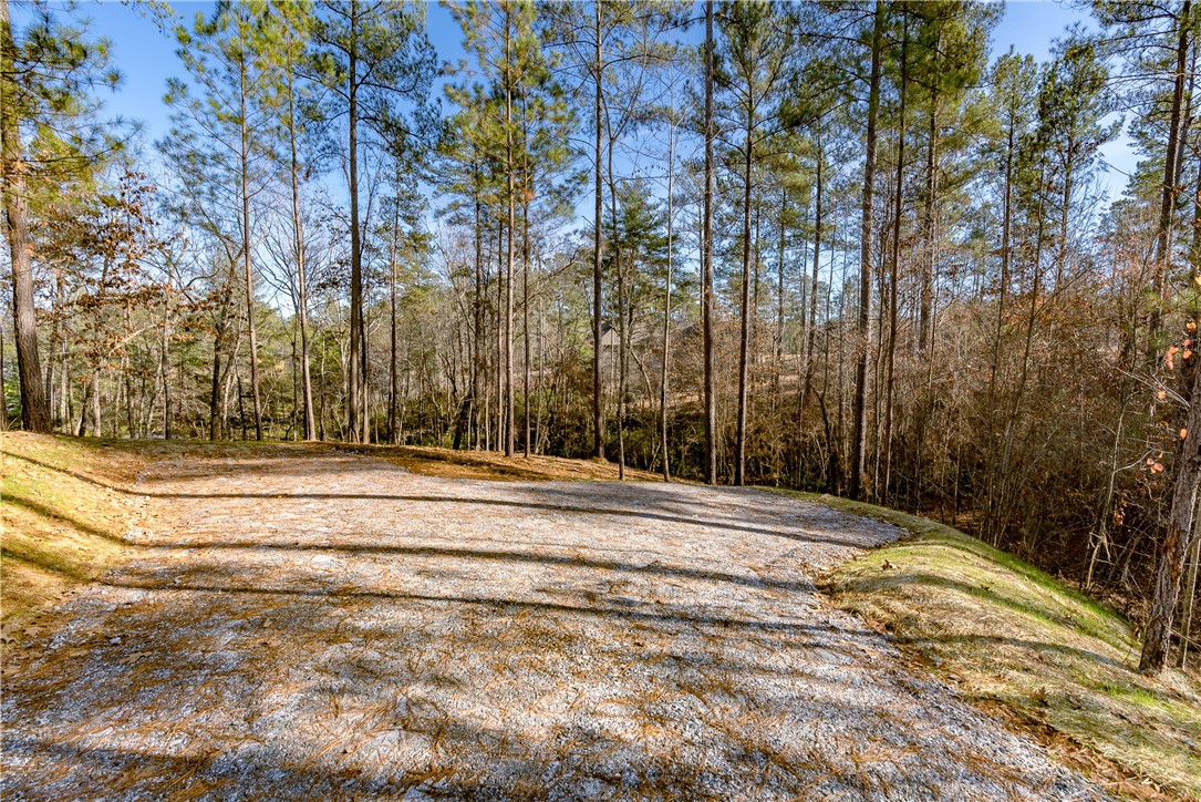 Lot 15 Old Chapman Bridge Road Salem, SC 29676 - Photo 21 of 24 Gallery Image 21