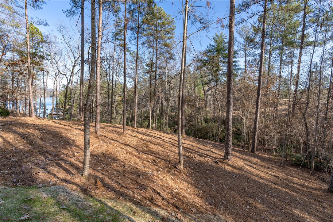Lot 15 Old Chapman Bridge Road Salem, SC 29676 - Photo 22 of 24 Gallery Image 22