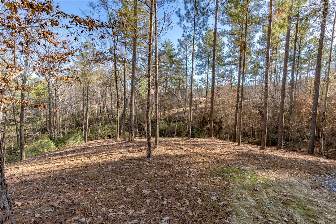 Lot 15 Old Chapman Bridge Road Salem, SC 29676 - Photo 23 of 24 Gallery Image 23