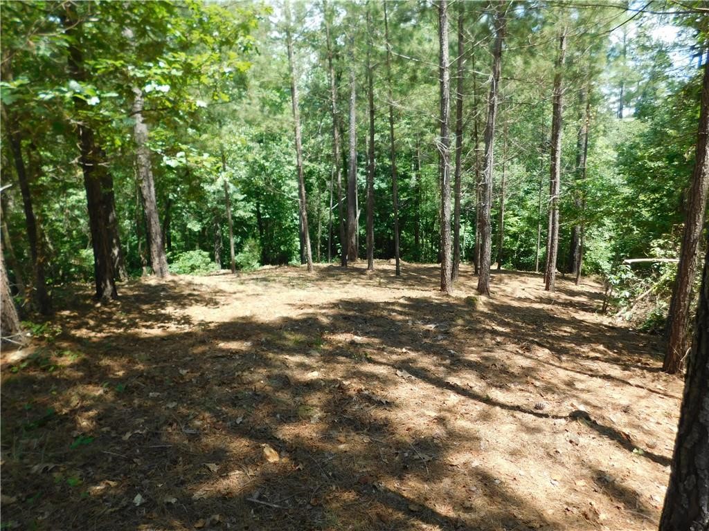 Lot 15 Old Chapman Bridge Road Salem, SC 29676 - Photo 3 of 24 Gallery Image 3