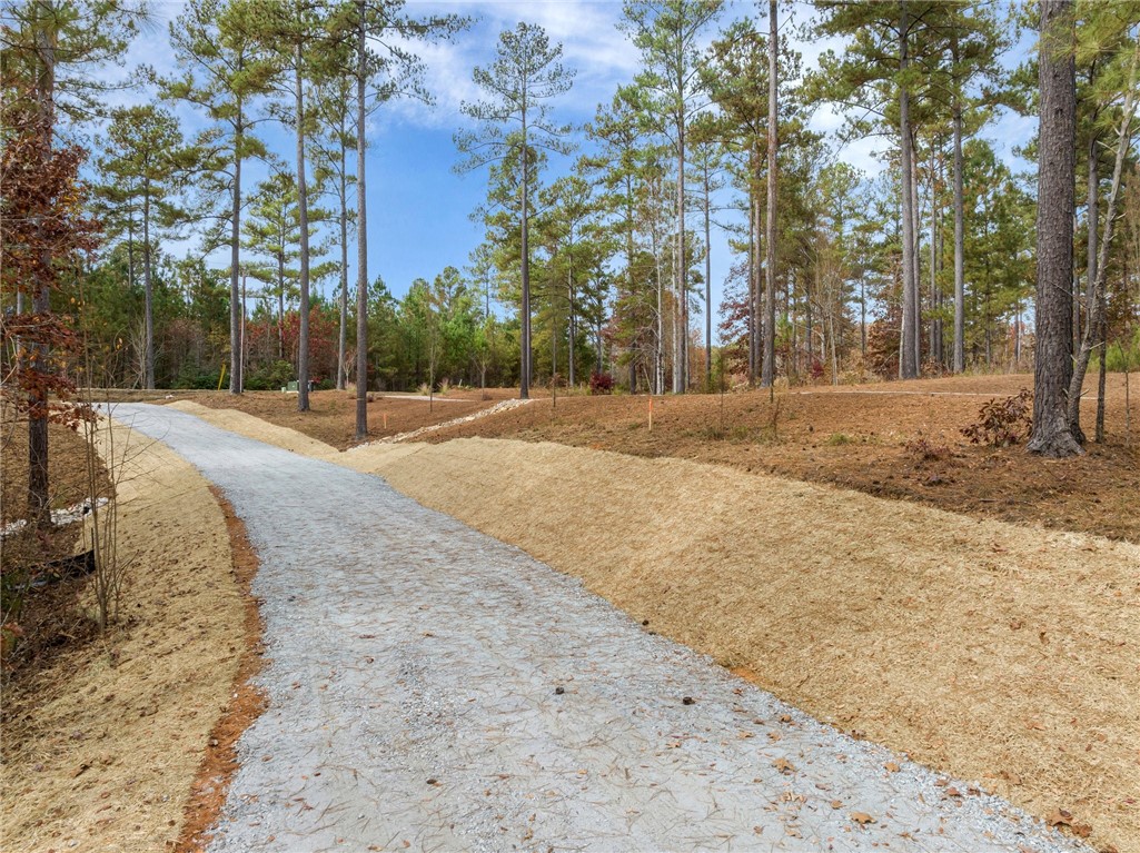 Lot 15 Old Chapman Bridge Road Salem, SC 29676 - Photo 4 of 24 Gallery Image 4