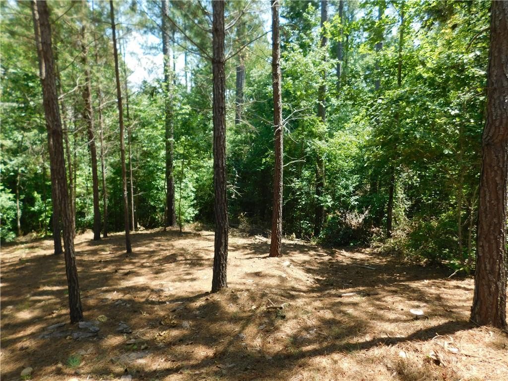 Lot 15 Old Chapman Bridge Road Salem, SC 29676 - Photo 5 of 24 Gallery Image 5