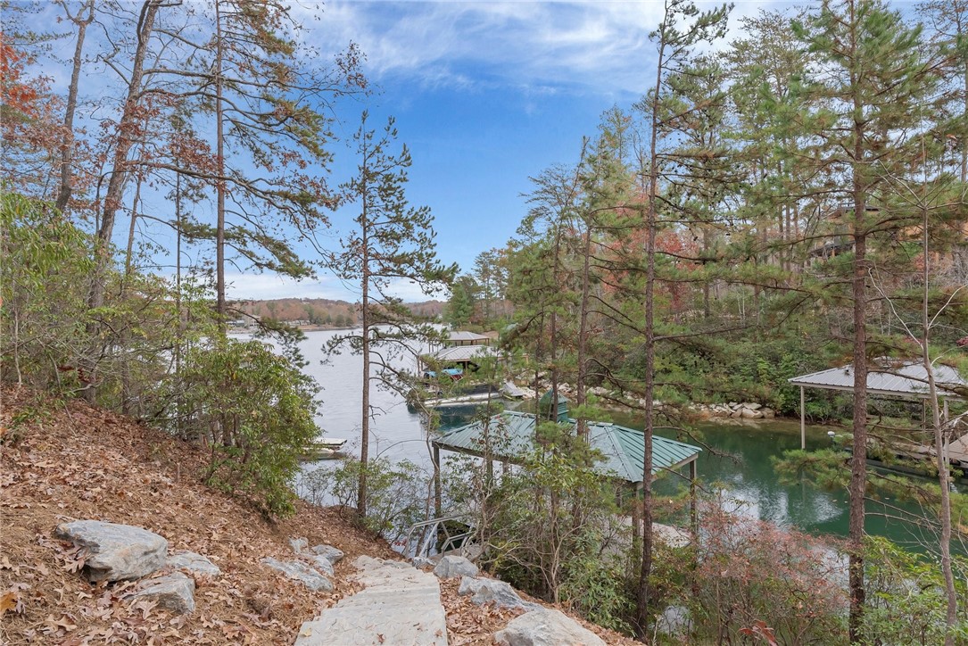 Lot 15 Old Chapman Bridge Road Salem, SC 29676 - Photo 6 of 24 Gallery Image 6