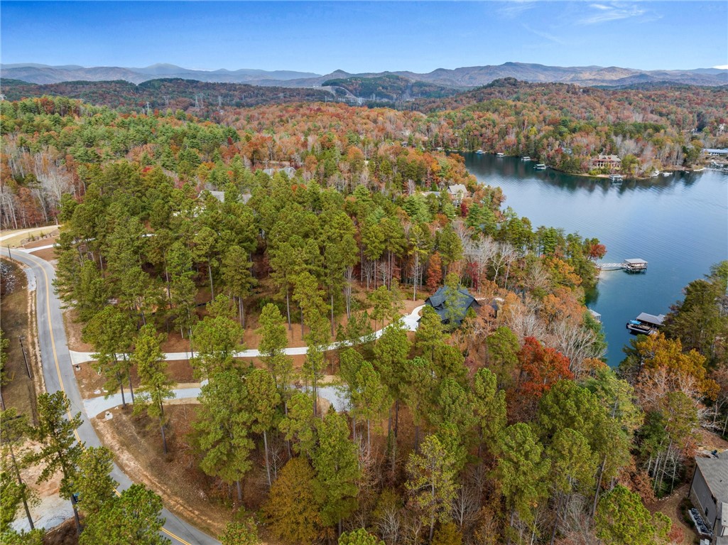 Lot 15 Old Chapman Bridge Road Salem, SC 29676 - Photo 7 of 24 Gallery Image 7