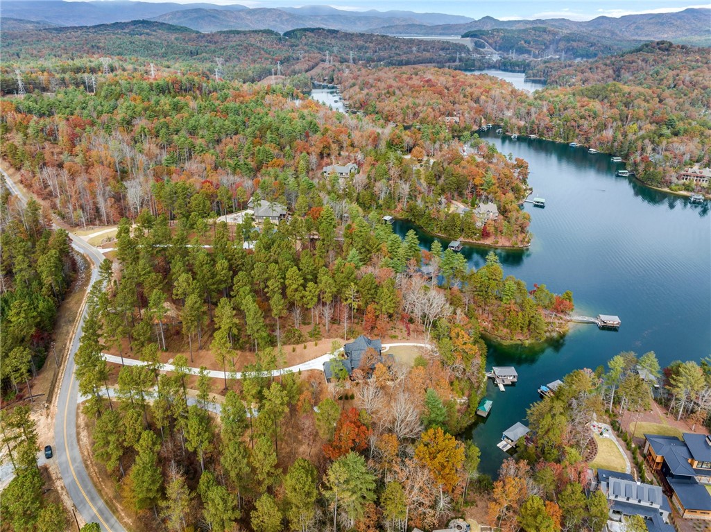 Lot 15 Old Chapman Bridge Road Salem, SC 29676 - Photo 8 of 24 Gallery Image 8