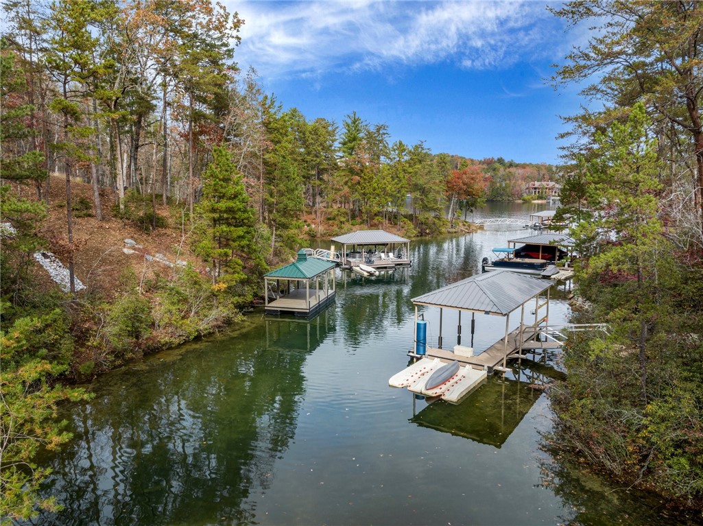 Lot 15 Old Chapman Bridge Road Salem, SC 29676 - Photo 10 of 24 Gallery Image 10
