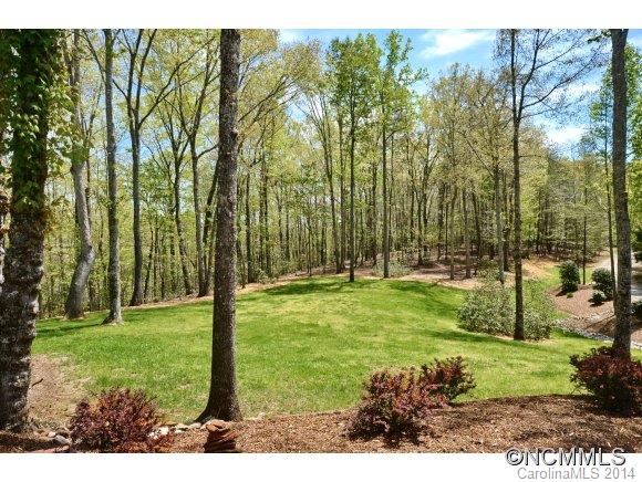 1229 Golden Road Tryon, NC 28782 - Photo 23 of 24
