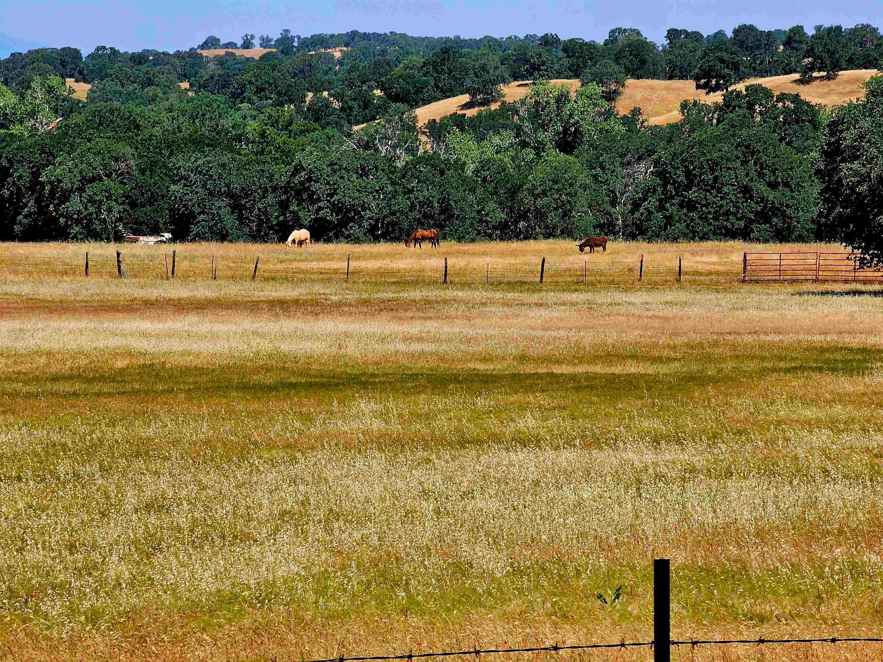 17300 Red Bank Road Red Bluff, CA 96080 - Photo 59 of 67 Gallery Image 59