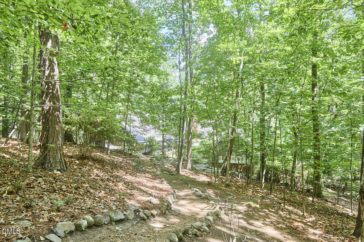 124 Steeplechase Road Chapel Hill, NC 27514 - Photo 63 of 66