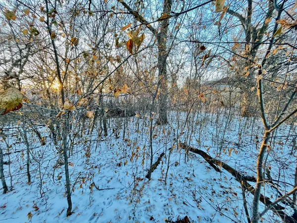 $65,000 | 10-xx South Broadway, Pelican Rapids, MN 56572