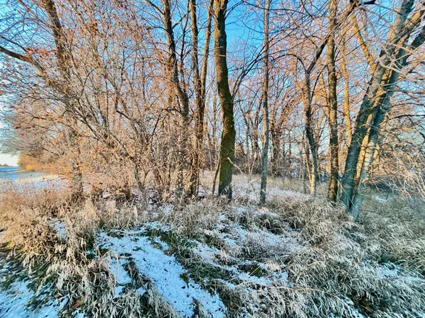 $65,000 | 10-xx South Broadway, Pelican Rapids, MN 56572