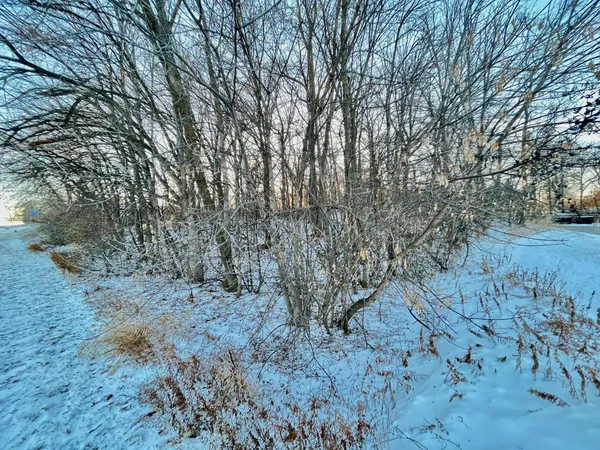 $65,000 | 10-xx South Broadway, Pelican Rapids, MN 56572