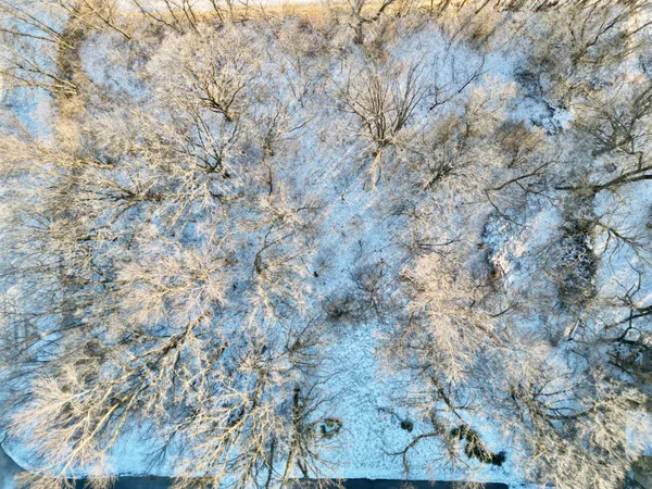 $65,000 | 10-xx South Broadway, Pelican Rapids, MN 56572