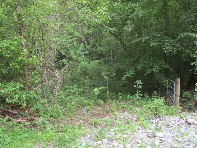 Corbin Lake Road Rutledge, TN 37861 - Photo 2 of 8 IMG_2398