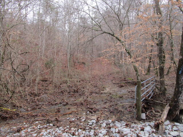 Corbin Lake Road Rutledge, TN 37861 - Photo 3 of 8 IMG_2229