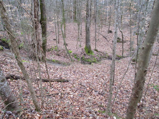 Corbin Lake Road Rutledge, TN 37861 - Photo 5 of 8 IMG_2240
