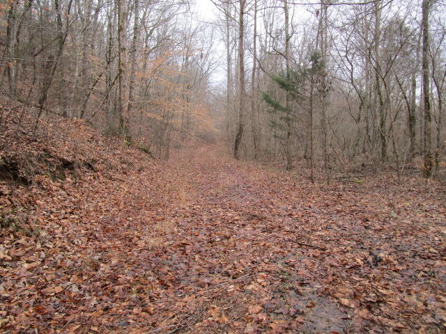 Corbin Lake Road Rutledge, TN 37861 - Photo 6 of 8 IMG_2239