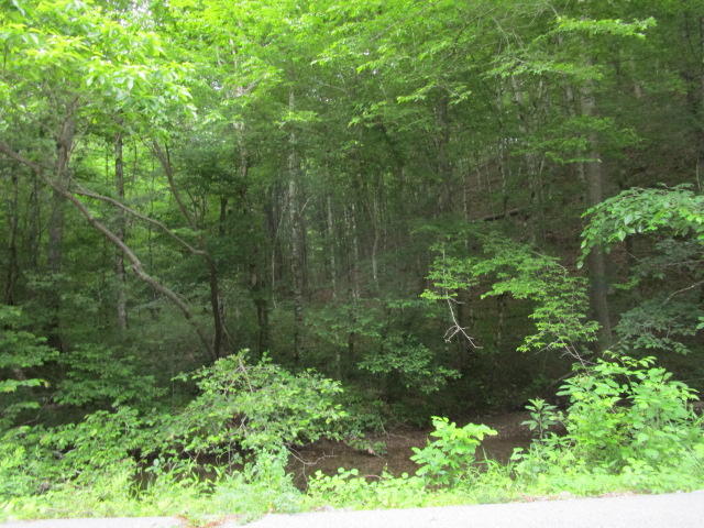 Corbin Lake Road Rutledge, TN 37861 - Photo 7 of 8 IMG_2400
