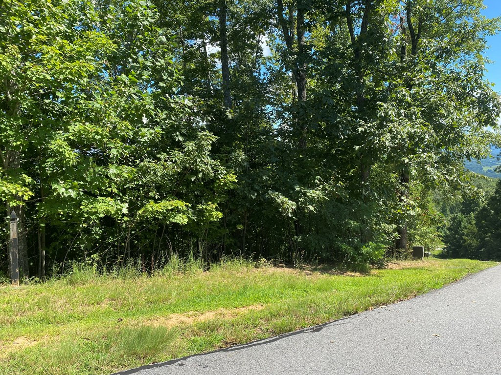 115 Vance Mountain Road Murphy, NC 28906 - Photo 9 of 13