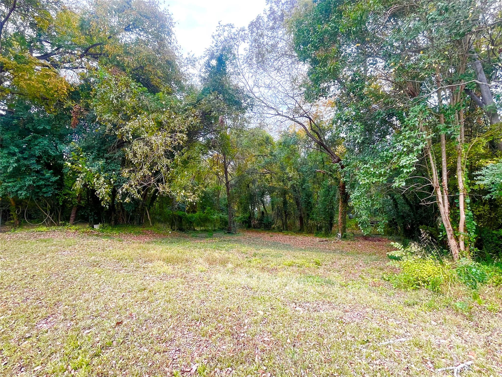 308 Elm Street Lancaster, SC 29720 - Photo 25 of 33 a view of a backyard with green space