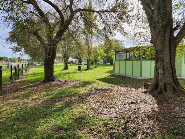 a view of a yard with a tree