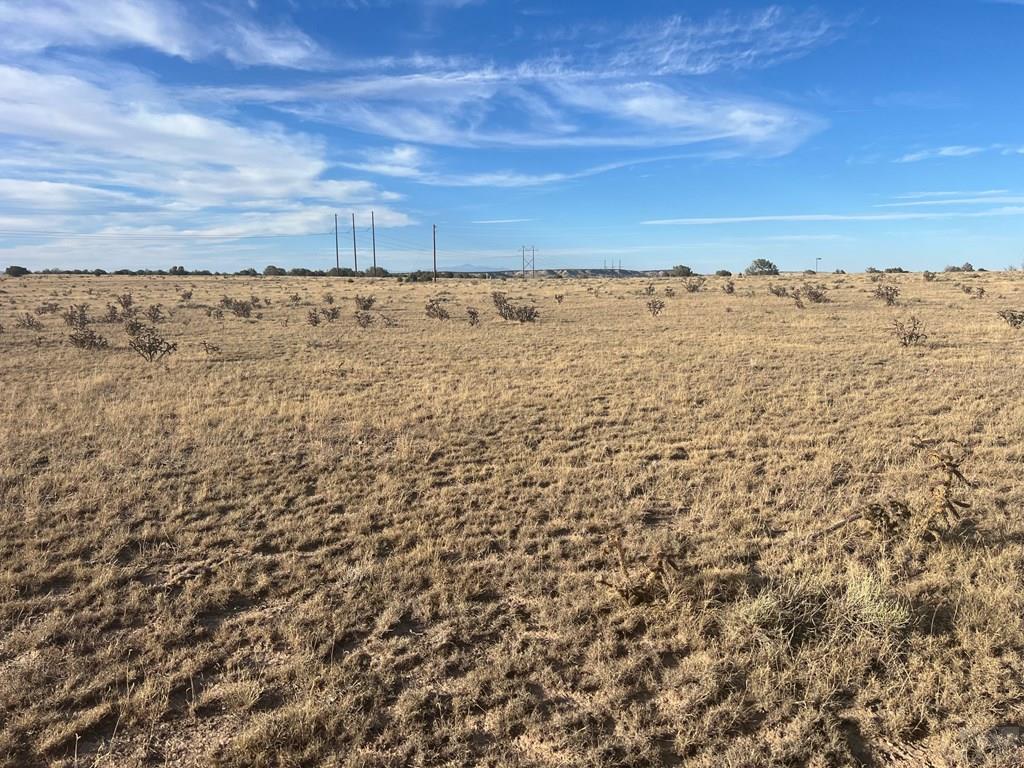 66 A Turkey Ridge Ranch Walsenburg, CO 81089 - Photo 4 of 13
