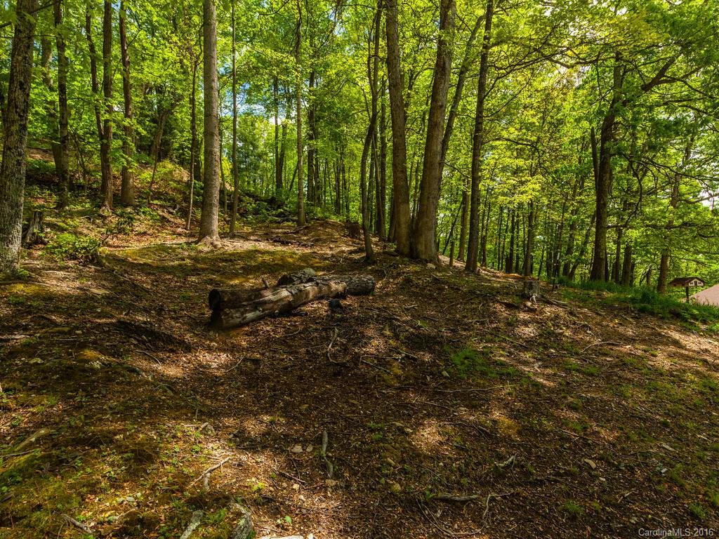 157 Spring Mountain Road Fairview, NC 28730 - Photo 22 of 24 Gallery Image 22