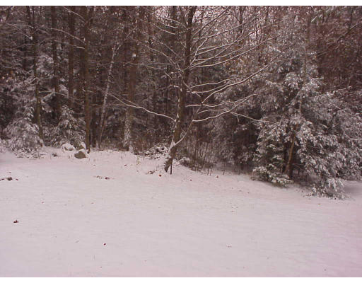 330 Coles Meadow Road Northampton, MA 01060 - Photo 4 of 6 Gallery Image 4