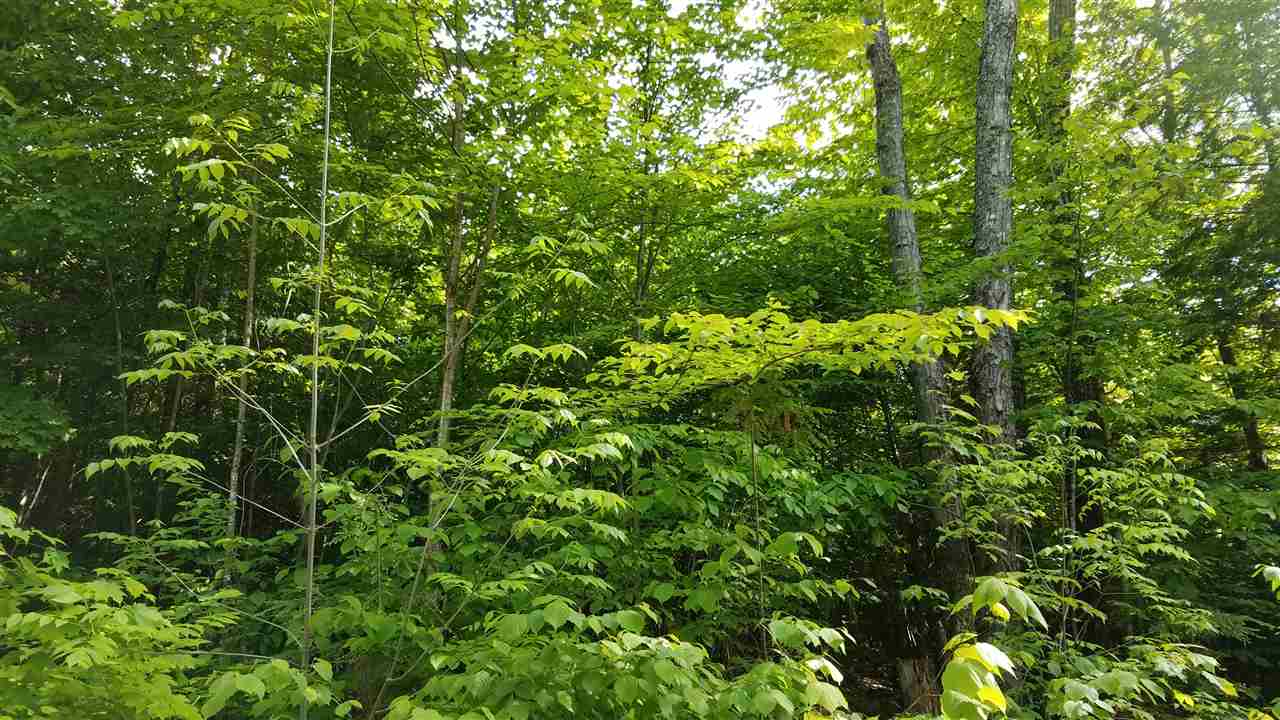 222 Colby Hill Road Madison, NH 03849 - Photo 2 of 3