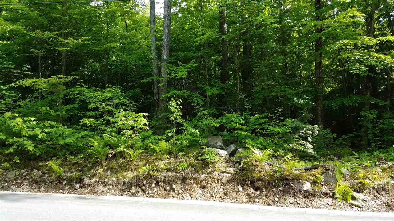 222 Colby Hill Road Madison, NH 03849 - Photo 3 of 3