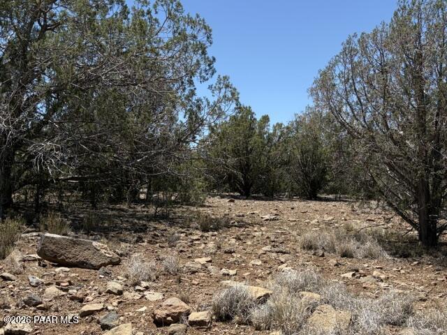 356 B Sierra Verde Ranch Seligman, AZ 86337 - Photo 5 of 6 a view of a yard with plants and trees