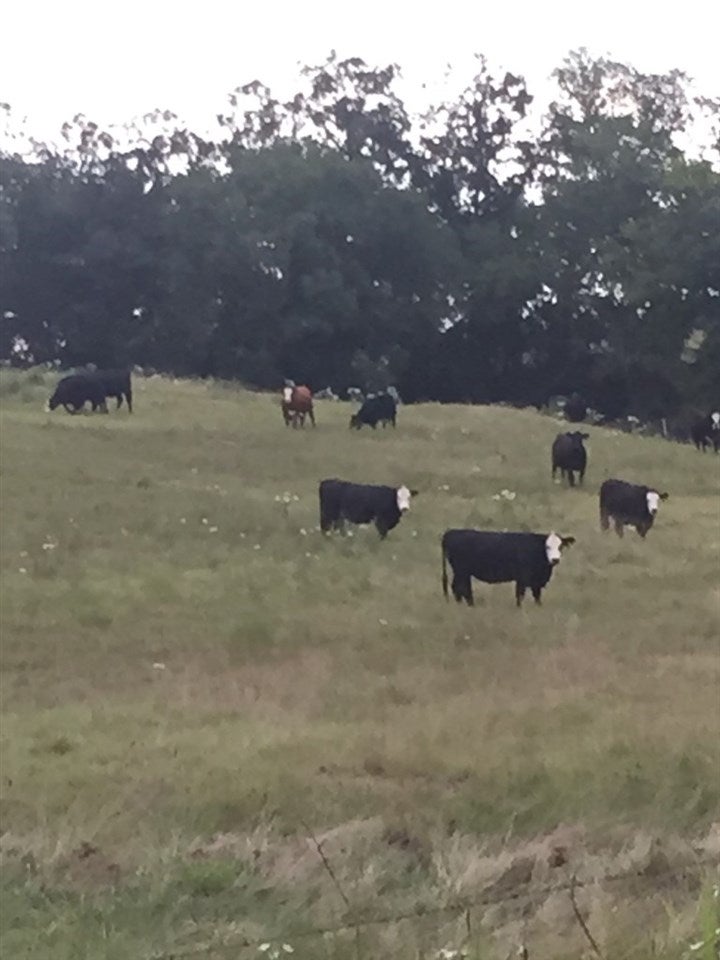 51401 East 4400 Road Pawnee, OK 74058 - Photo 22 of 25 Gallery Image 22