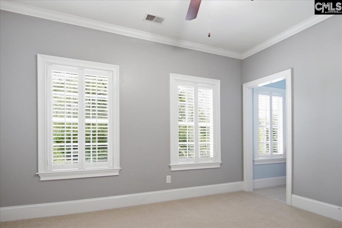 805 Boatswain Loop Chapin, SC 29036 - Photo 19 of 30