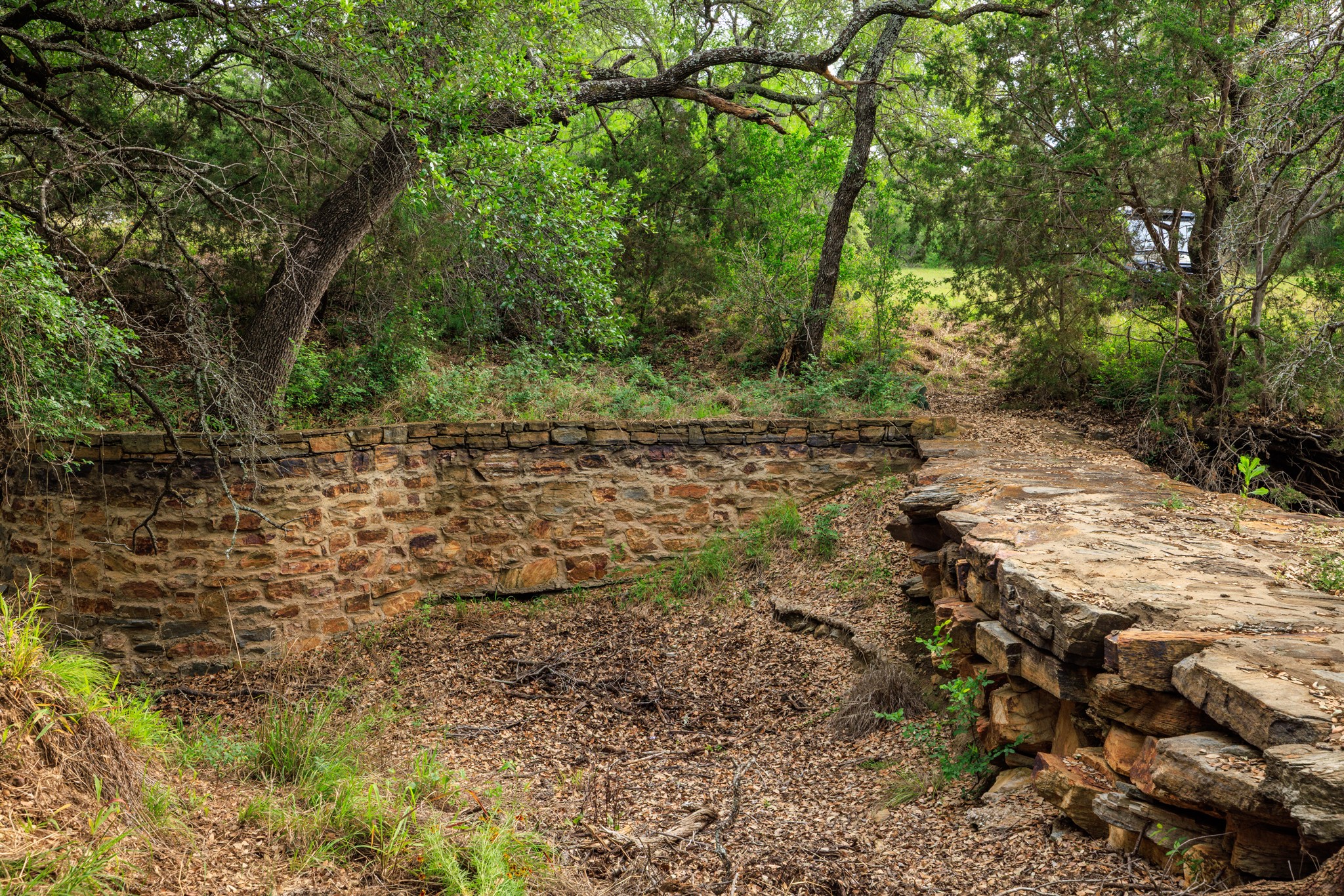 3724 Ranch Road 3347 Round Mountain, TX 78663 - Photo 3 of 40 a view of a yard with plants and large trees