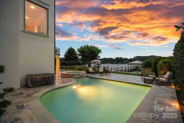 a view of a swimming pool with a lounge chair and a potted plant