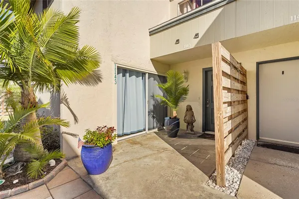 a potted plant sitting in front of a house