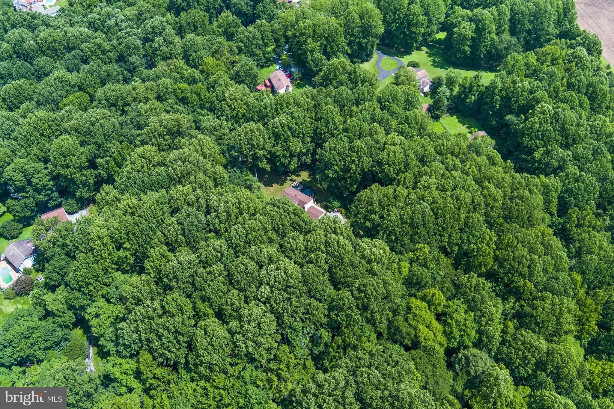 12803 Molly Berry Road Upper Marlboro, MD 20772 - Photo 60 of 61