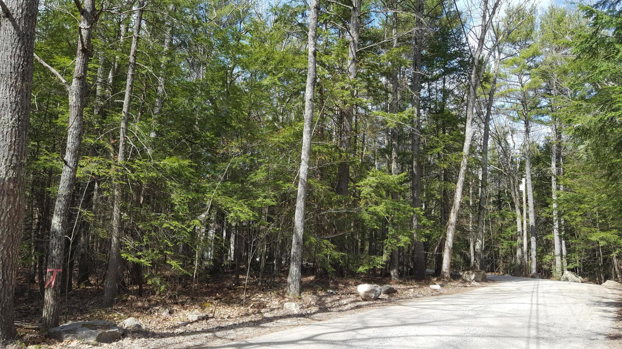 50 Johnson Road Windham, ME 04062 - Photo 22 of 24 20200506_150917
