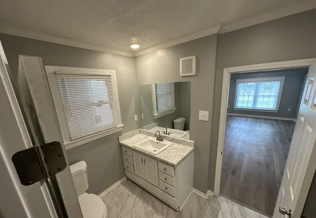 a bathroom with a sink a toilet and mirror