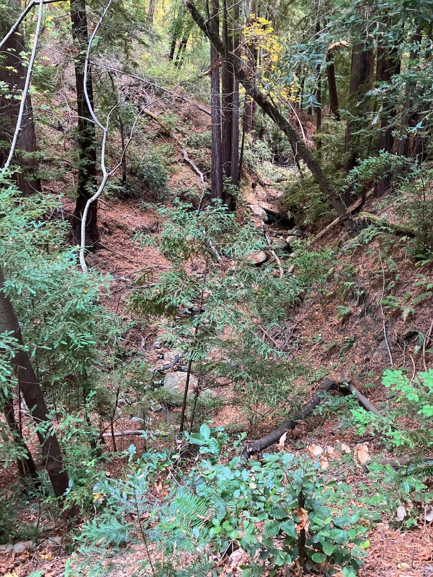 0 Old Logging Road Los Gatos, CA 95033 - Photo 15 of 17 JESSIE WOODS IMG_0644