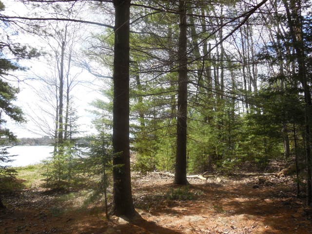 5091 Kokosing Road Hale, MI 48739 - Photo 31 of 62 1873924-30.JPG