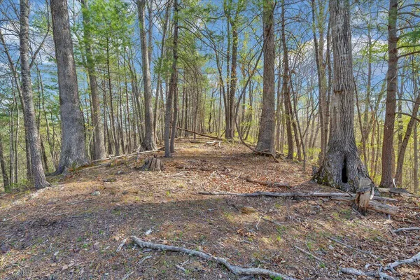 $429,950 | 363 Ezra Drive, Buchanan, VA 24066