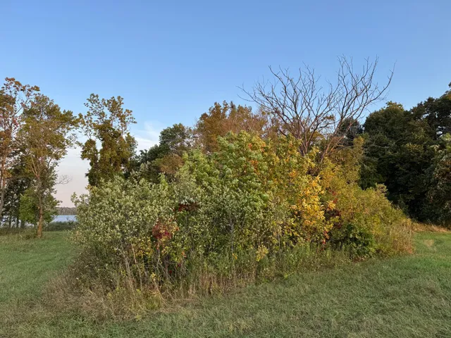 $400,000 | Lot 6-tbd Northeast Rock Lake Road, Rochert, MN 56578